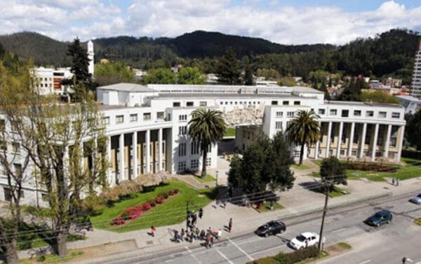Docentes UdeC disidentes a la actual rectoría crean la “Comunidad Atenea”