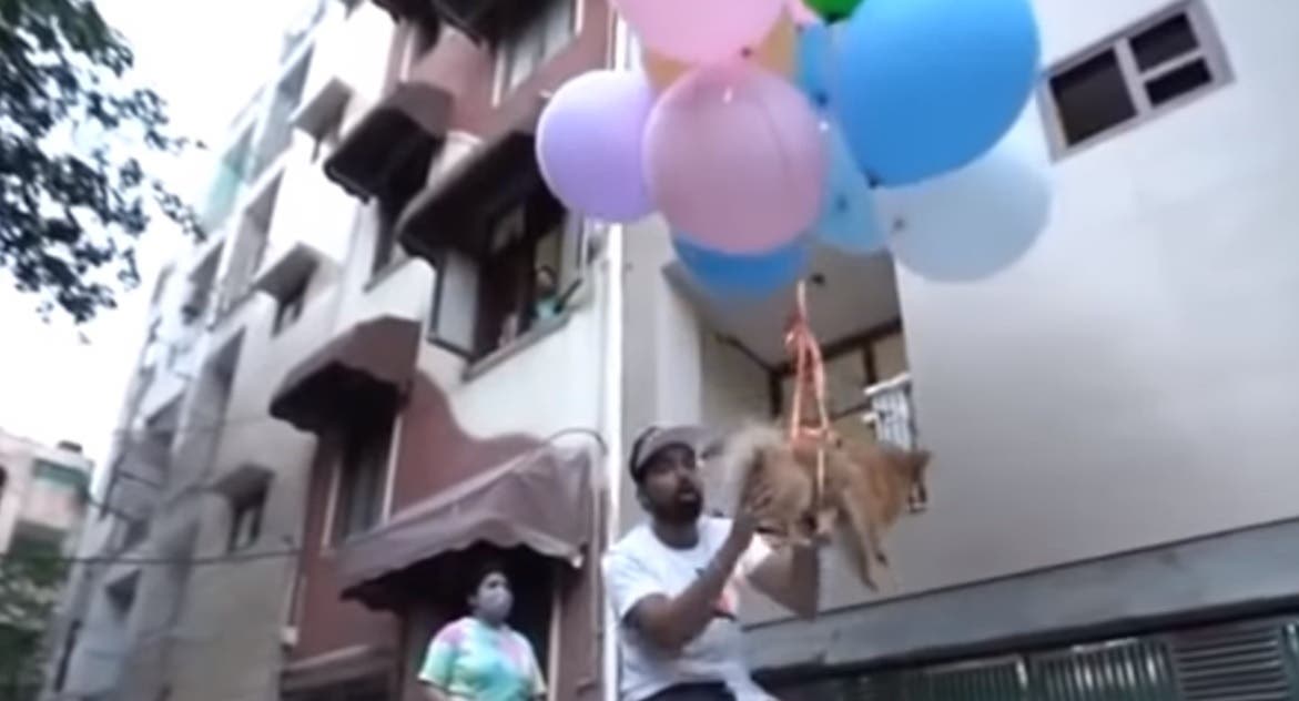 Youtuber amarró a su mascota a unos globos y la grabó