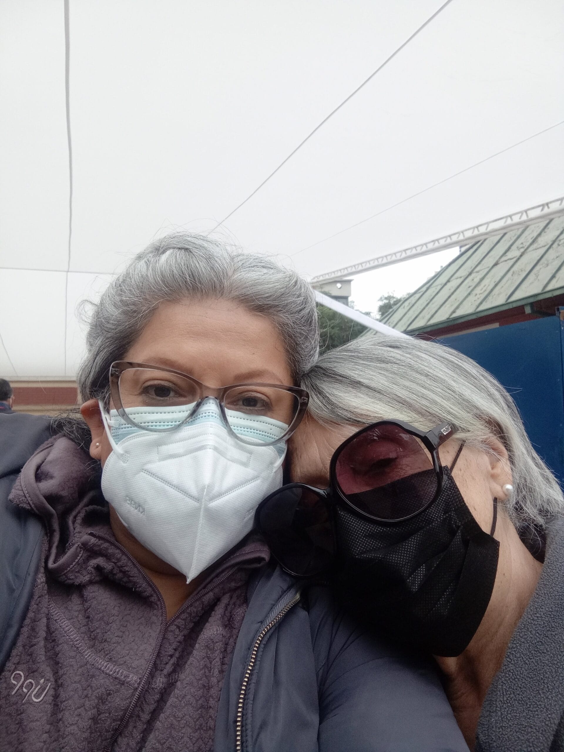 La maratónica travesía de votante desde Tirúa a Santiago