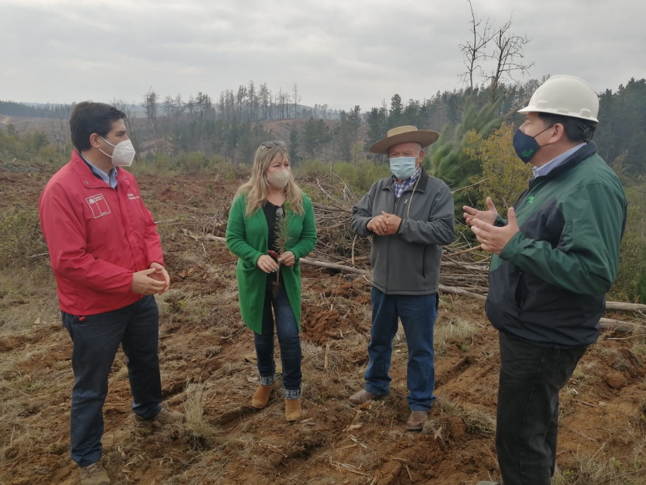 Destinarán $3.400 millones en Biobío para plan de reactivación a pequeños y medianos propietarios forestales