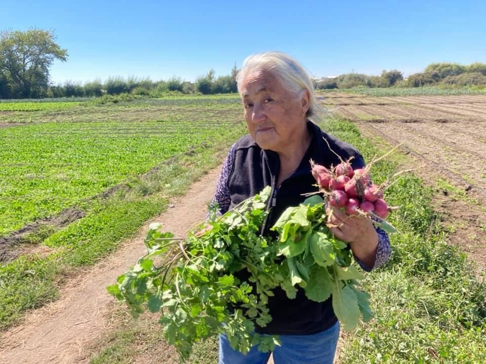 41 pequeños productores de la Región del Biobío reciben “Sello Manos Campesinas” de Indap