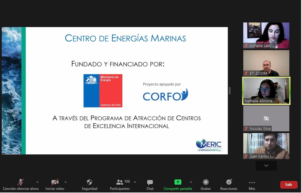 Seminario “Mix y Educación Energética 2021 del IPVG” abordó aspecto social de las Energías Renovables