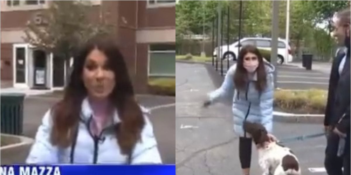 Periodista detuvo en medio de un despacho a ladrón de perros