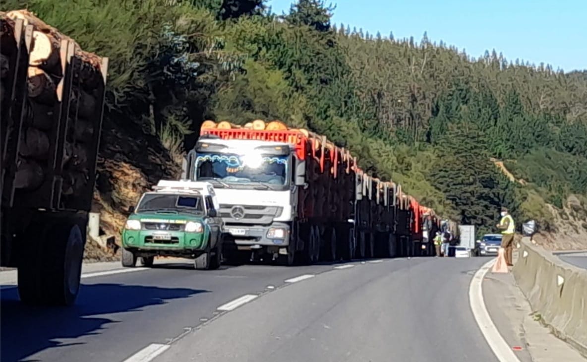 Conductores de siete camiones quedan detenidos por robo de madera en Los Álamos