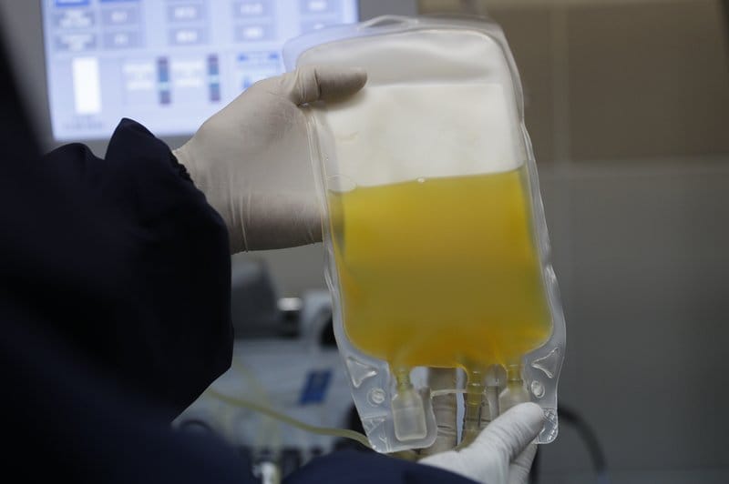 Suero de plasma de burros: La nueva apuesta para combatir el Covid-19