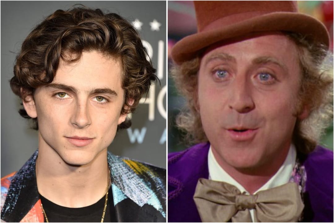 Timothée Chalamet interpretará a un joven Willy Wonka en nueva película