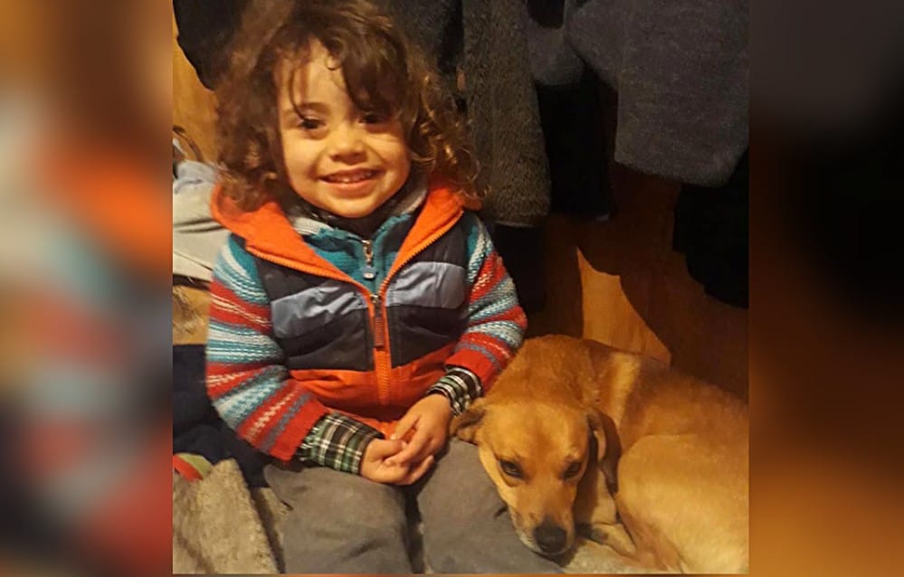 “Teddy se acomoda a dormir a los pies tuyos”: La conmovedora revelación de la mamá de Tomás Bravo