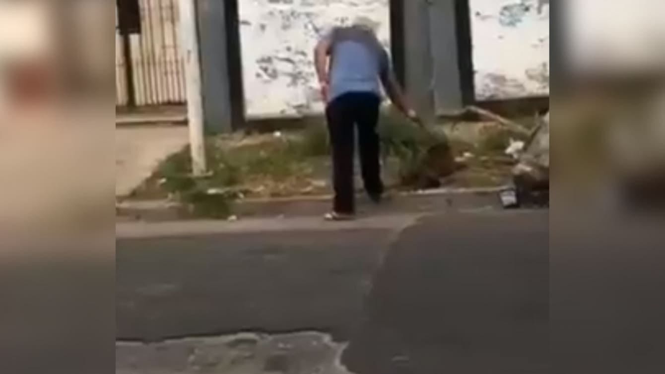 Hombre que disparó sin razón a perro callejero genera repudio en redes sociales