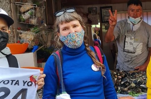Vanessa Hoppe, constituyente: “Apuntamos a la protección de los grupos más vulnerables y vulnerados históricamente en nuestra sociedad”