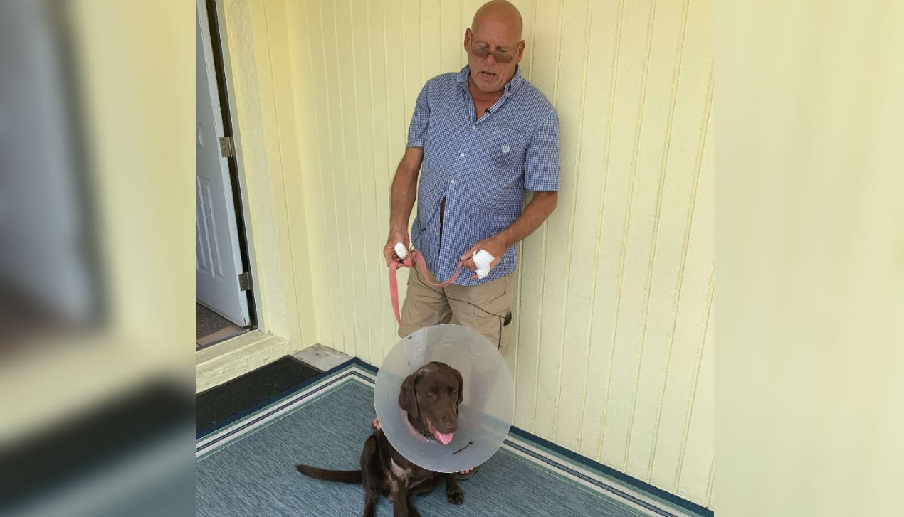 Hombre peleó con un caimán para rescatar a su perro