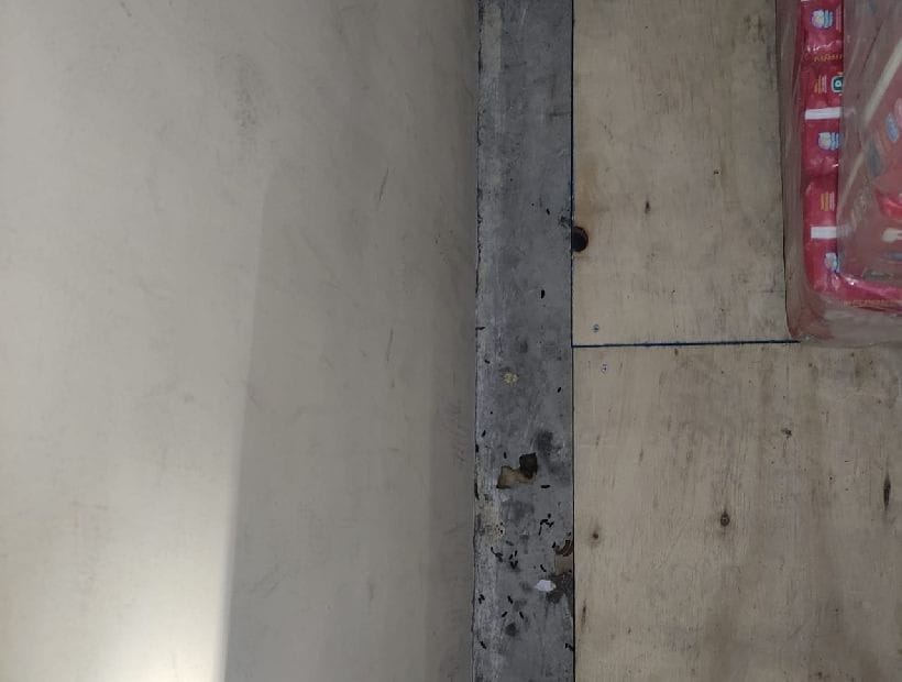 Clausuran local de Fruna tras detectarse presencia de ratones