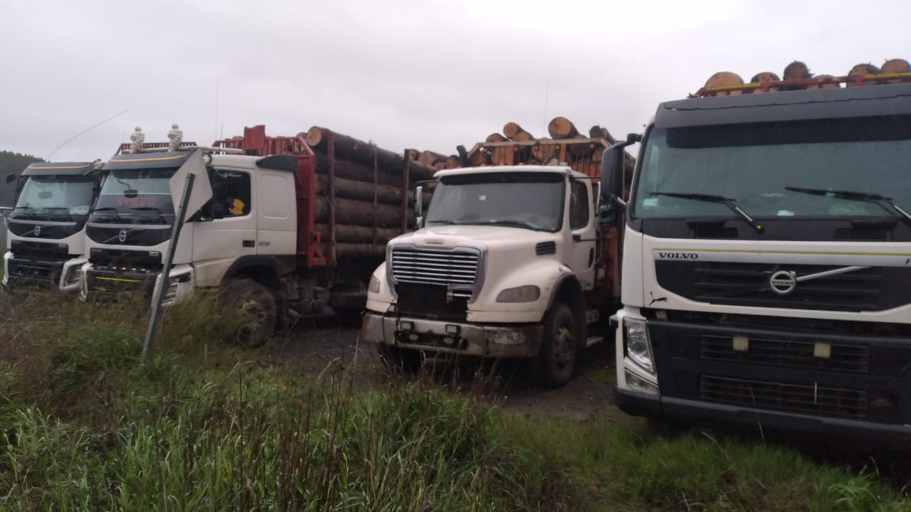 Detienen en Concepción a conductores de cinco camiones por robo de madera en la Provincia de Arauco
