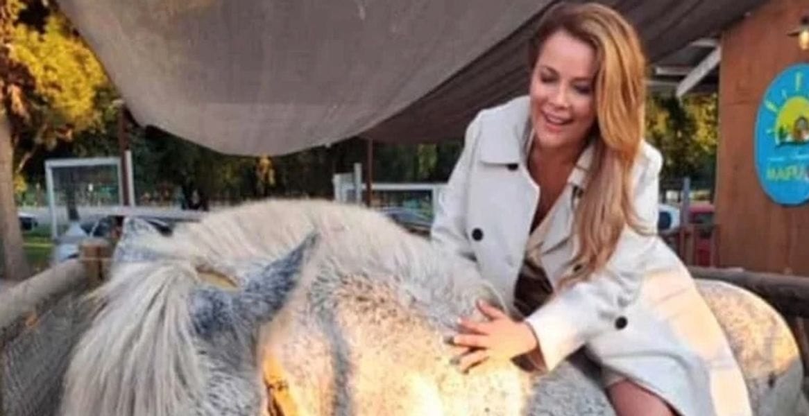 “La yegua es mía”: Cathy Barriga respondió a polémica por equino de Maipú