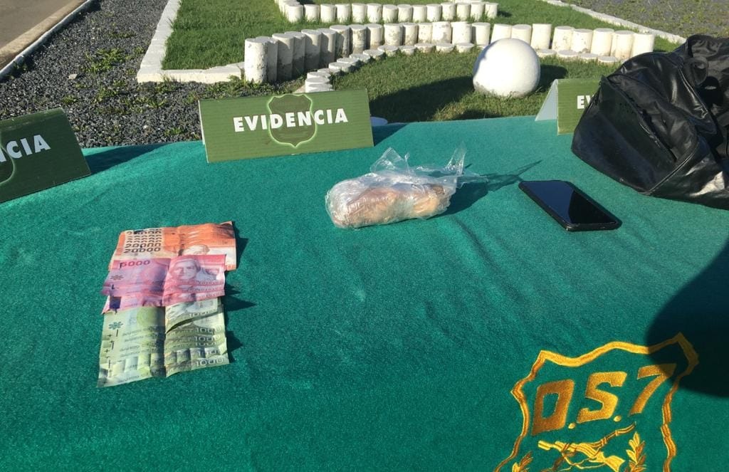 Perro “Frosty” implacable: Delató a hombre que llevaba a Cañete 1.500 dosis de clorhidrato de cocaína