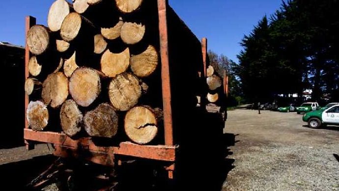 Contratistas forestales por atentados en Arauco: “Es una muestra más de la incompetencia de las autoridades”