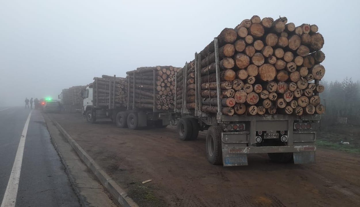 Abandonan en Coronel dos camiones robados en la Provincia de Arauco: Estaban cargados con madera
