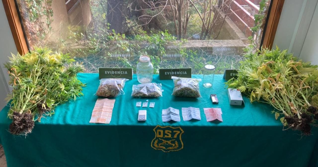 Mujer fue detenida con más de medio kilo de marihuana en Talcahuano