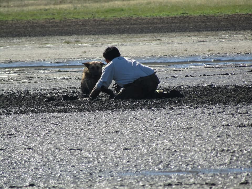 Hombre rescata a perro atrapado y acechado por buitres en reserva natural
