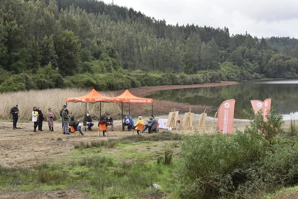 Coronel inició tramitación para declarar humedal urbano a Laguna Quiñenco
