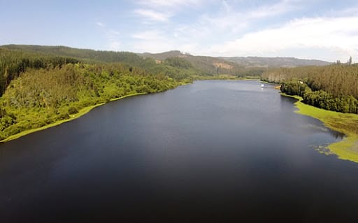 Diputado González ofició a la Dirección General de Aguas para investigar descenso de la Laguna Quiñenco