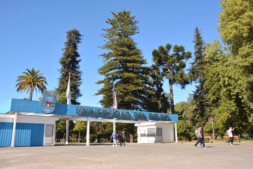 Universidad del Bío-Bío logra histórica reforma de estatutos