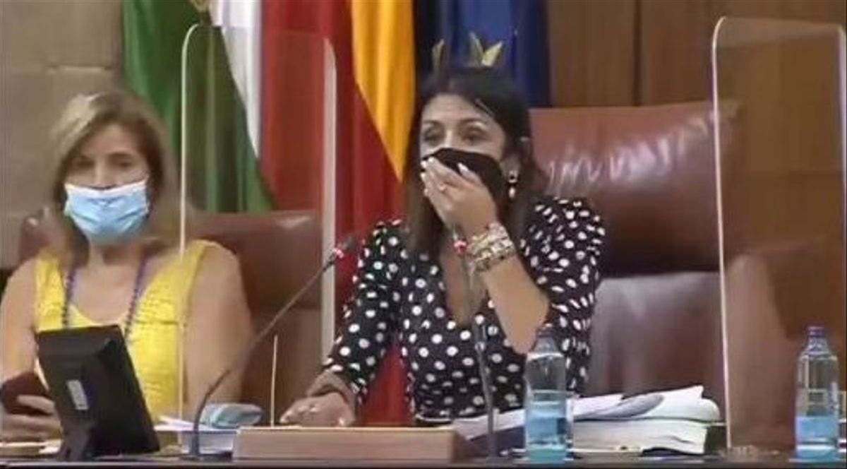 Ratón desató el caos al irrumpir en plena sesión del Parlamento de Andalucía