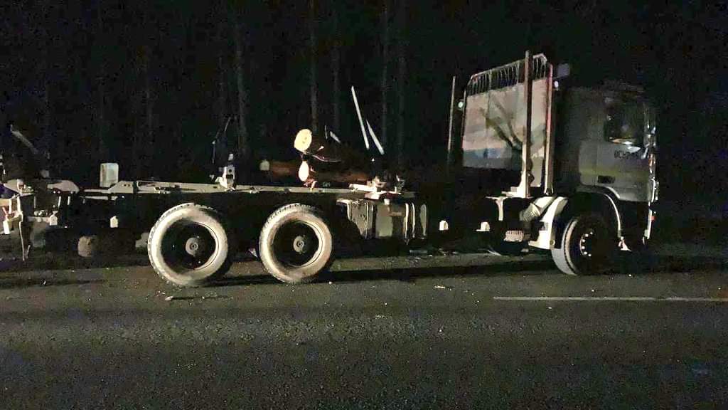 Al menos dos fallecidos dejó accidente en la ruta 160 a la altura de Colcura