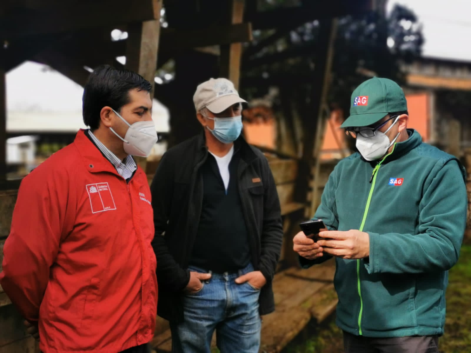 Presentan aplicación que no requiere internet para informar movimiento de animales a agricultores en Biobío