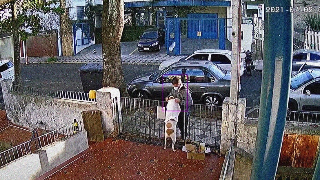 Hombre robó la ropa de tierna perrita mientras fingía acariciarla