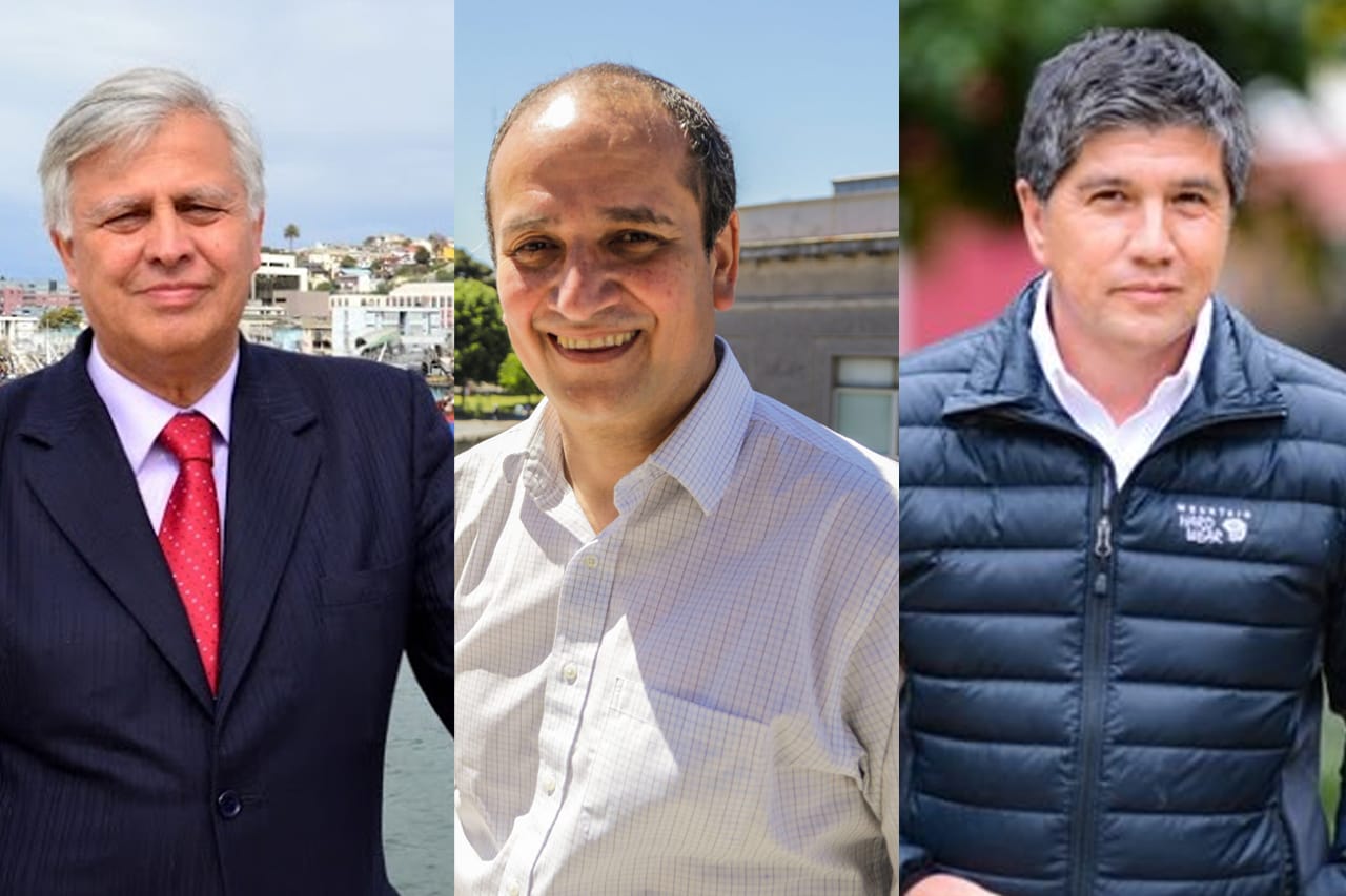 Las esquirlas que arrojó la asunción del gobernador Rodrigo Díaz para la carrera senatorial del PS Biobío