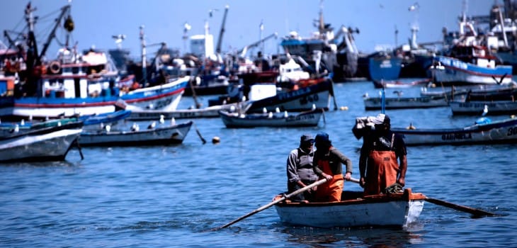 Pescadores pelágicos de Coronel valoran aprobación de proyecto para capturar remanente de pesca