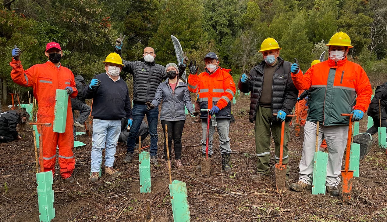 De la mano con la participación ciudadana avanza la restauración del Parque Nacional Nonguén