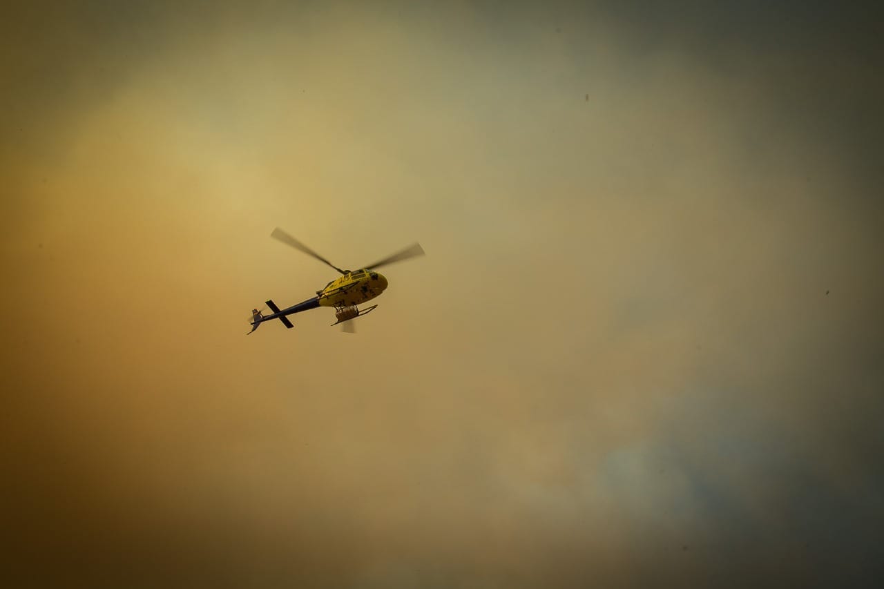 Reportan un 61% menos de superficie afectada por incendios forestales en  Biobío