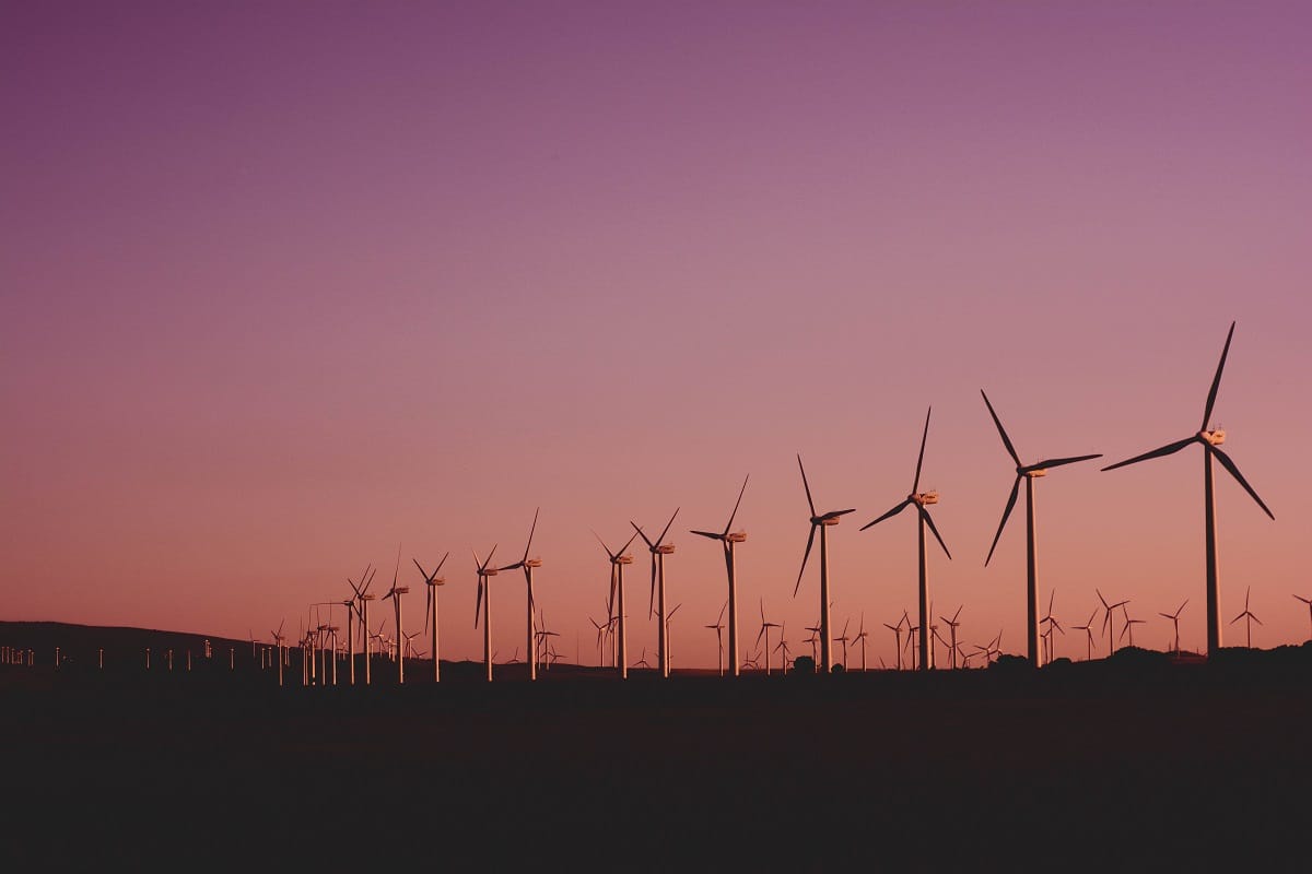 Solicitan realizar una Auditoría Ambiental al GORE Biobío por boom de proyectos eólicos