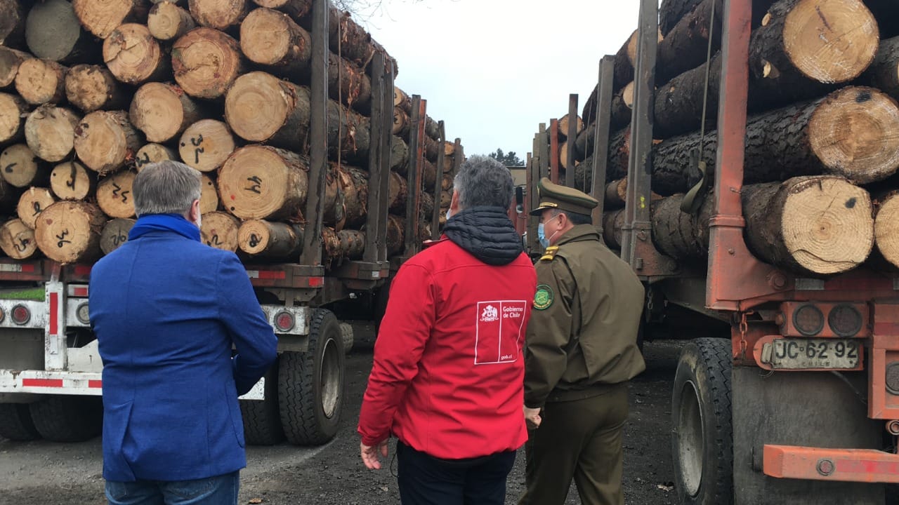 Operativos por robo de madera en el Biobío dejan 92 personas detenidas durante este año