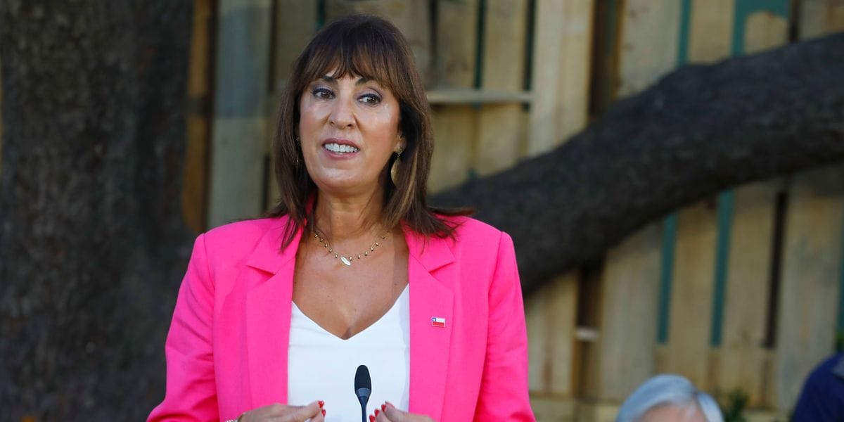 Ministra de la mujer catalogó de “inaceptables” dichos de Johannes Kaiser sobre el voto femenino