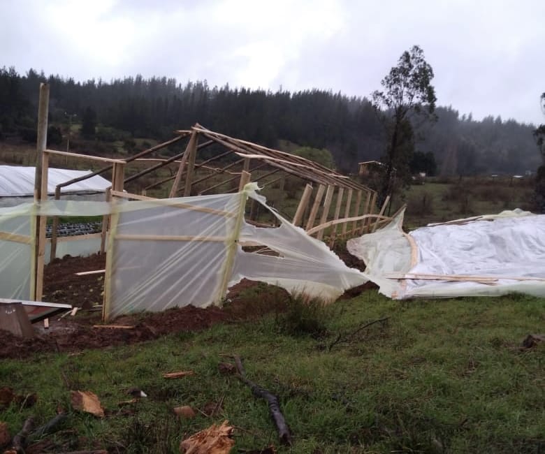 Más de 40 agricultores perdieron sus invernaderos tras sistema frontal en Santa Juana
