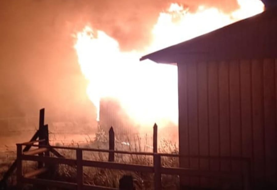 Defensoría de la Niñez anunció acciones legales por muerte de adolescente en ataque incendiario de Tirúa