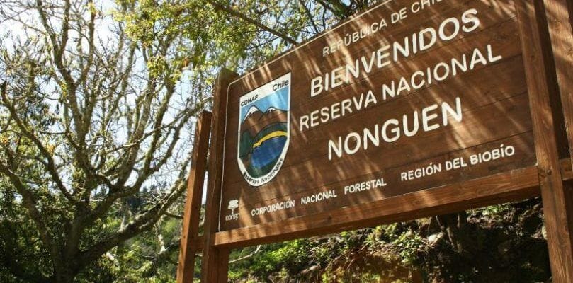 Rescatan a familia que se extravió en Reserva Nacional Nonguén