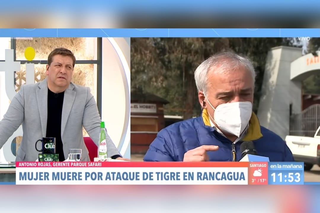 “Los animales no son máquinas ni cosas”: La discusión entre JC Rodríguez y gerente del Safari de Rancagua