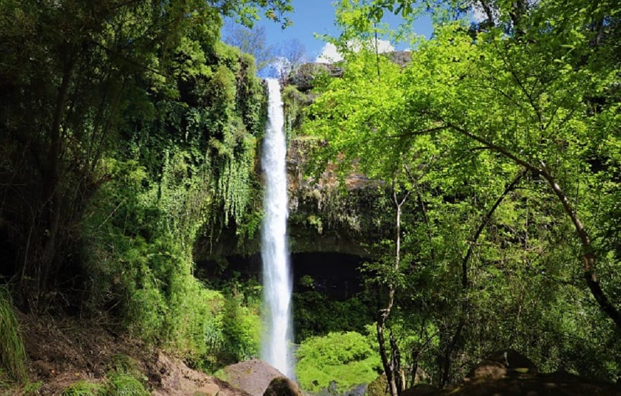 Buscan declarar Salto Rehuén como primer Santuario de la Naturaleza de la Provincia de Biobío