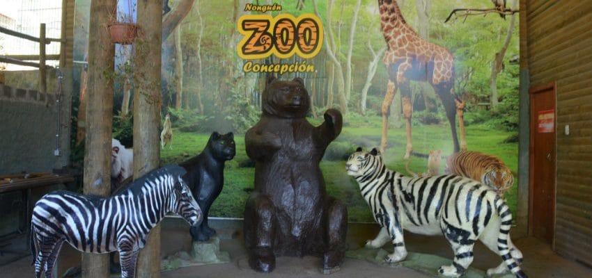 Aseguran apertura del Zoológico de Concepción independiente de la fase del Plan Paso a Paso