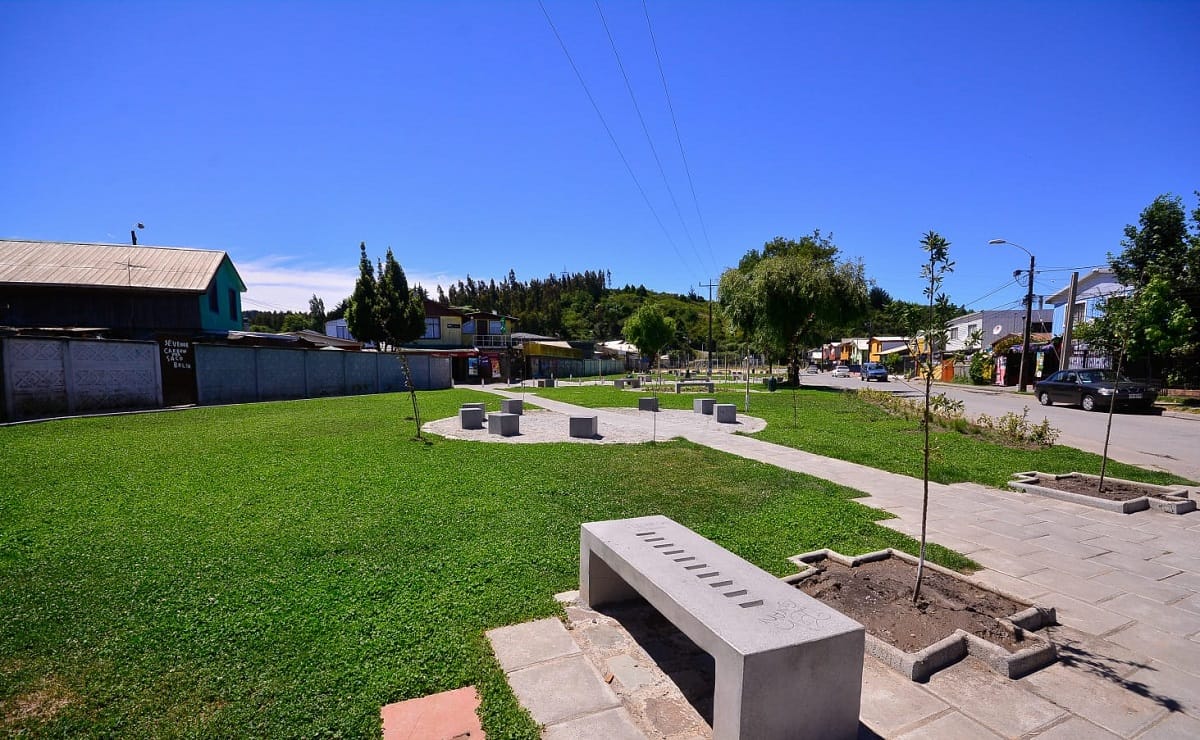 Ponen urgencia a solucionar problema de mantención de áreas verdes en Concepción