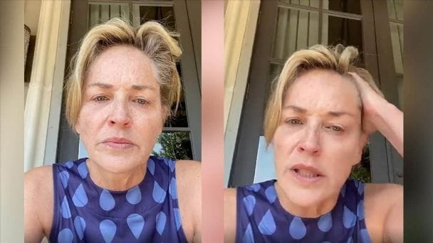 Sharon Stone informó la muerte de su sobrino de sólo 11 meses
