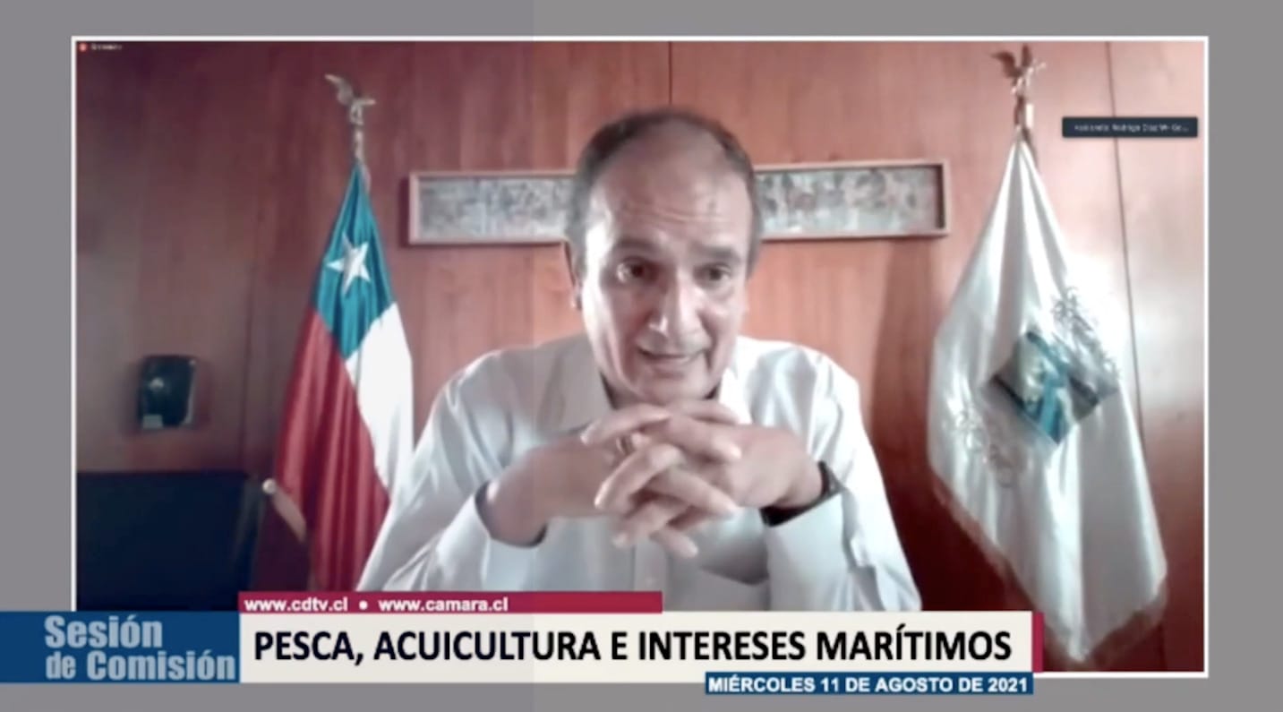 Iniciativa se tramita en la Cámara: Gobernador Rodrigo Díaz se suma al rechazo del proyecto de ley de la merluza común