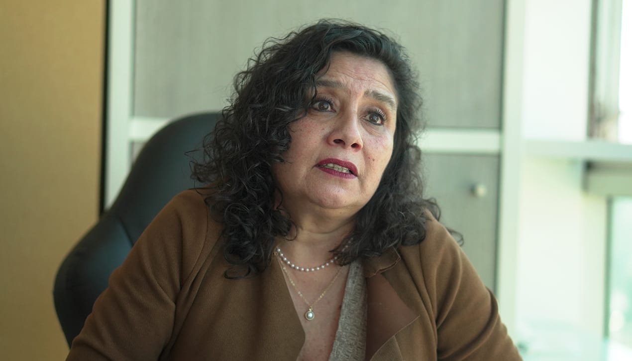 Ana María Lezcano dejó el mundo privado y busca un cupo en el Consejo Regional del Biobío