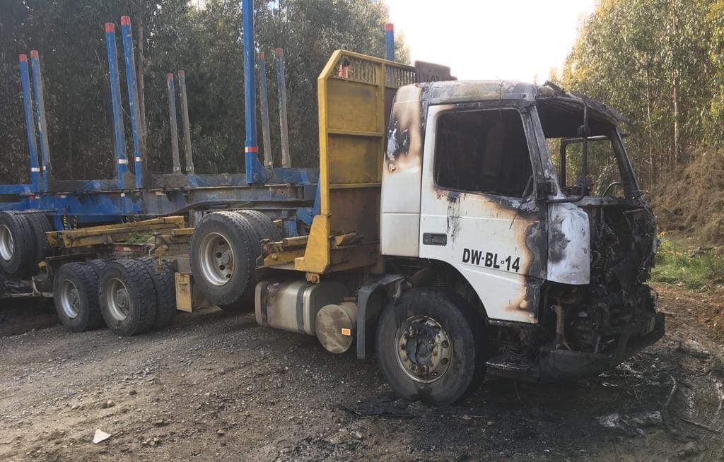 Fiscalía reveló que solo tramita 31 causas vinculadas a violencia rural en el Biobío