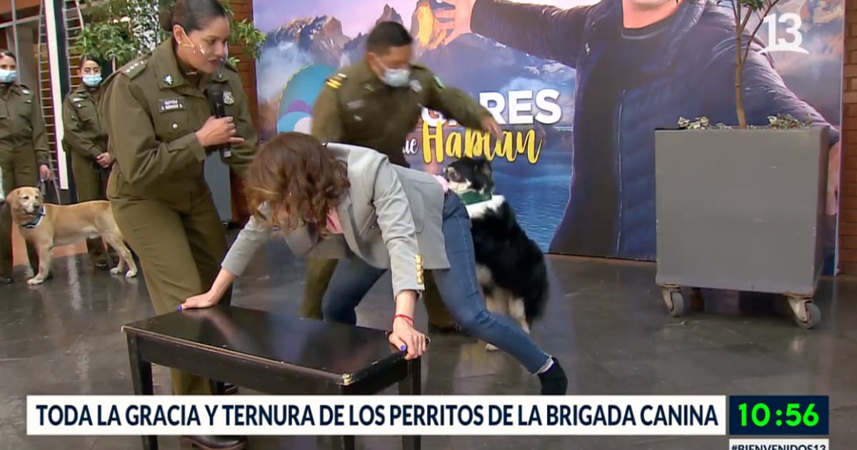 Tonka Tomicic sufrió inesperado chascarro con perrito de Carabineros