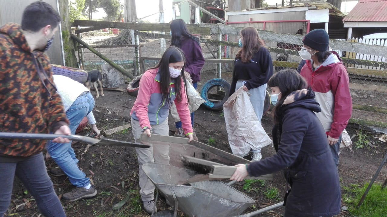 Huertas Urbanas de Chiguayante serán monitoreadas por estudiantes de Agronomía UdeC