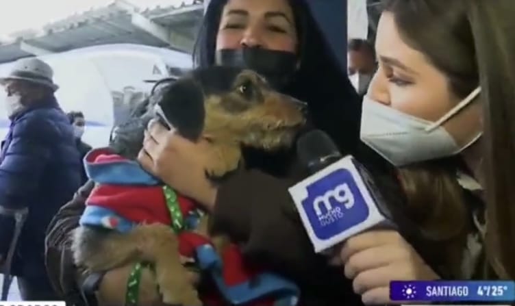 Periodista de “Mucho Gusto” casi fue mordida por un perro